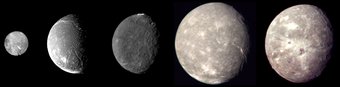 Aufnahmen der fünf größten Uranusmonde Miranda, Ariel, Umbriel, Titania und Oberon. Die Raumsonde Voyager 2 schoss die Bilder am 24. Januar 1986 während eines Vorbeiflugs. Die Durchmesser der Monde sind maßstabsgerecht wiedergegeben. Aufnahmen der fünf größten Uranusmonde Miranda, Ariel, Umbriel, Titania und Oberon. Die Raumsonde Voyager 2 schoss die Bilder am 24. Januar 1986 während eines Vorbeiflugs. Die Durchmesser der Monde sind maßstabsgerecht wiedergegeben.