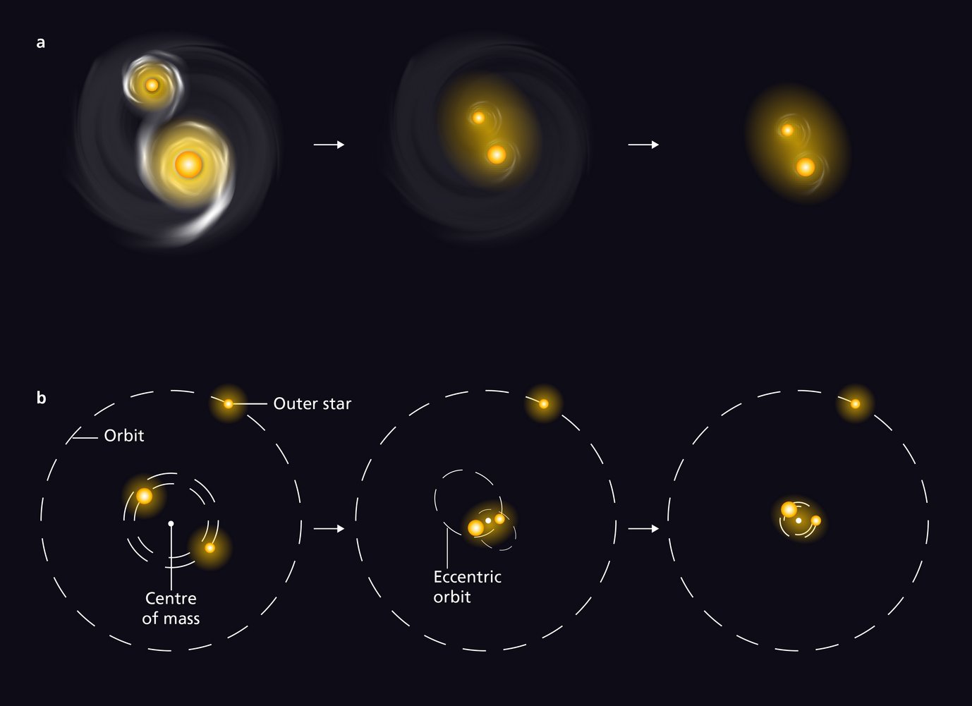 Illustration of two scenarios that explain how the orbits of massive stars shrink over time. a) Both partners of a double star emerge from a disk of gas and dust. On their orbits through the more dilute residual disk, the friction causes the radii of their orbits to decrease, which leads to an increase in orbital velocities. b) In a triple system, a low-mass star orbits two higher-mass stars. The low-mass star’s gravitational influence forces the inner stars to follow elliptical orbits, which in time converge towards closer circular orbits.