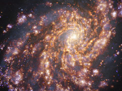 Dieses Bild der nahen Galaxie NGC 4254 wurde durch die Kombination von Beobachtungen mit dem Multi-Unit Spectroscopic Explorer (MUSE) am Very Large Telescope (VLT) der ESO und mit dem Atacama Large Millimeter/submillimeter Array (ALMA), an dem die ESO beteiligt ist, gewonnen. NGC 4254 ist eine Grand-Design-Spiralgalaxie mit deutlich ausgeprägten Spiralarmen, die sich etwa 45 Millionen Lichtjahre von der Erde entfernt im Sternbild Coma Berenices befindet. Das Bild ist eine Kombination von Beobachtungen, die bei verschiedenen Wellenlängen des Lichts durchgeführt wurden, um die Sternpopulationen und das Gas zu kartieren. Die Beobachtungen von ALMA sind in bräunlich-orangen Tönen dargestellt und heben die Wolken aus kaltem molekularem Gas hervor, die das Rohmaterial liefern, aus dem Sterne entstehen. Die MUSE-Daten zeigen sich hauptsächlich in Gold- und Blautönen. Das helle goldene Leuchten kennzeichnet warme Wolken aus hauptsächlich ionisiertem Wasserstoff-, Sauerstoff- und Schwefelgas und markiert die Anwesenheit von neu geborenen Sternen, während die bläulichen Regionen die Verteilung von etwas älteren Sternen zeigen.
Das Bild wurde im Rahmen des PHANGS-Projekts (Physics at High Angular Resolution in Nearby GalaxieS) aufgenommen, das hochauflösende Beobachtungen von nahen Galaxien mit Teleskopen im gesamten elektromagnetischen Spektrum durchführt.