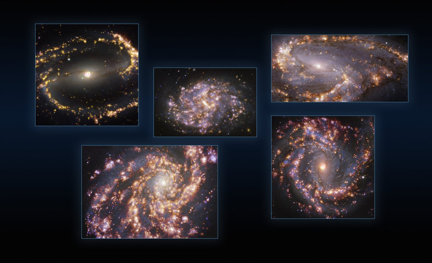 This image combines observations of the nearby galaxies NGC 1300, NGC 1087, NGC 3627 (top, from left to right), NGC 4254 and NGC 4303 (bottom, from left to right) taken with the Multi-Unit Spectroscopic Explorer (MUSE) on ESO’s Very Large Telescope (VLT). Each individual image is a combination of observations conducted at different wavelengths of light to map stellar populations and warm gas. The golden glows mainly correspond to clouds of ionised hydrogen, oxygen and sulphur gas, marking the presence of newly born stars, while the bluish regions in the background reveal the distribution of slightly older stars.
The images were taken as part of the Physics at High Angular resolution in Nearby GalaxieS (PHANGS) project, which is making high-resolution observations of nearby galaxies with telescopes operating across the electromagnetic spectrum.