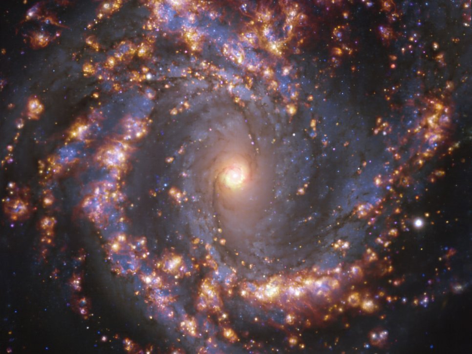 This image, taken by the Multi-Unit Spectroscopic Explorer (MUSE) on ESO’s Very Large Telescope (VLT), shows the nearby galaxy NGC 4303. NGC 4303 is a spiral galaxy, with a bar of stars and gas at its centre, located approximately 55 million light-years from Earth in the constellation Virgo. The image is an overlay of observations conducted at different wavelengths of light to map stellar populations and warm gas. The golden glows mainly correspond to clouds of ionised hydrogen, oxygen and sulphur gas, marking the presence of newly born stars, while the bluish regions in the background reveal the distribution of slightly older stars.
The image was taken as part of the Physics at High Angular resolution in Nearby GalaxieS (PHANGS) project, which is making high-resolution observations of nearby galaxies with telescopes operating across the electromagnetic spectrum