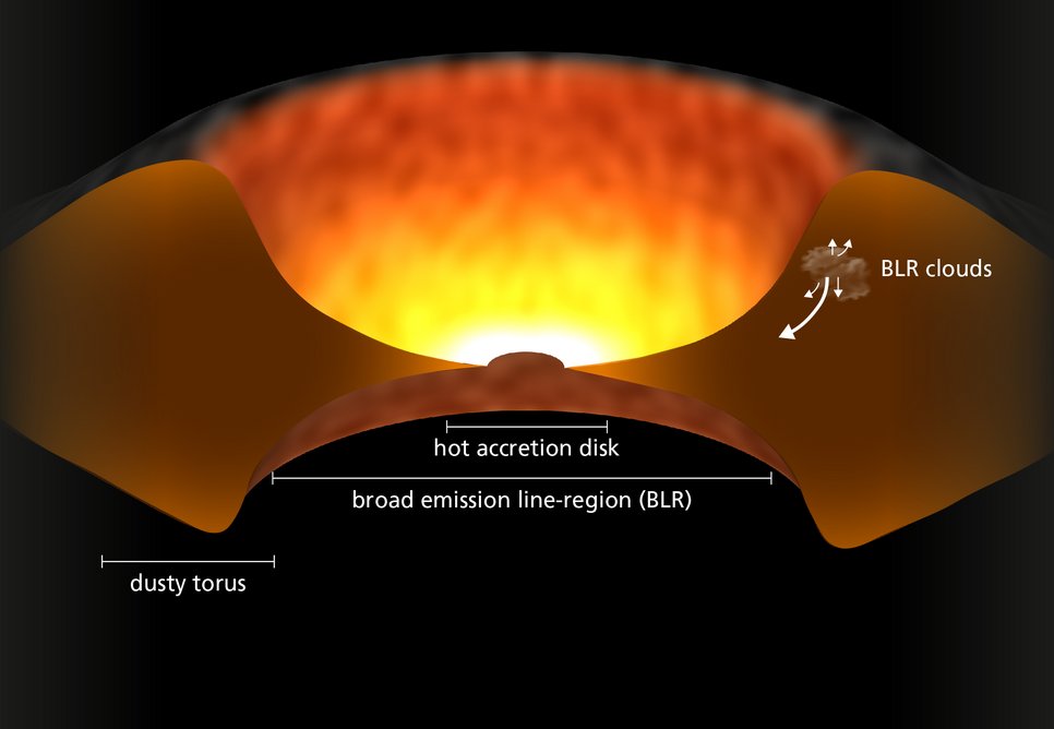 Schematic representation of a quasar. The hot accretion disk in the centre surrounds the black hole, which is invisible here. A dense distribution of gas and dust surrounds it in which individual ionised gas clouds orbit the black hole at high speed. Stimulated by the intense and high-energy radiation of the accretion disk, these clouds emit radiation in the form of spectral lines, broadened due to the Doppler effect. The zone of these gas clouds is therefore called broad emission-line region (BLR).