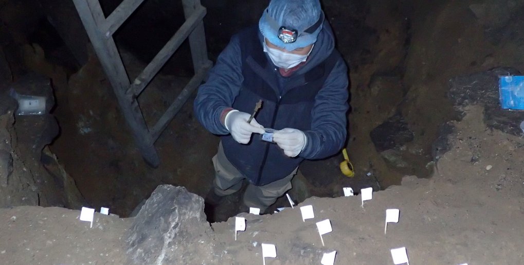 Alte DNA aus Höhlensedimenten