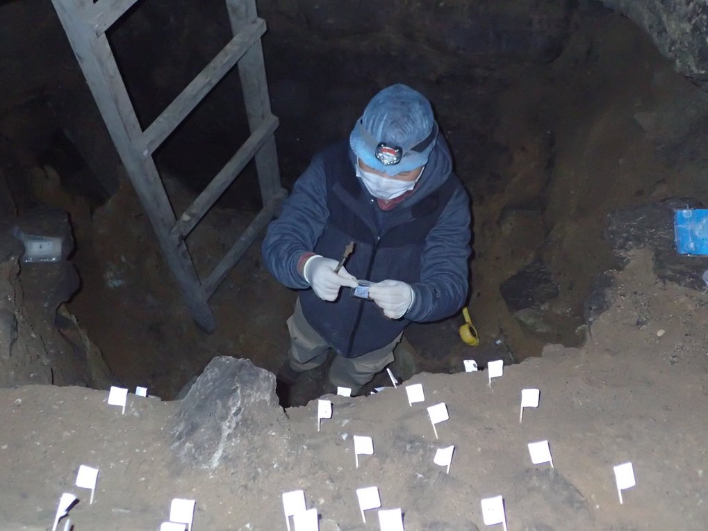 Ancient soil DNA comes of age