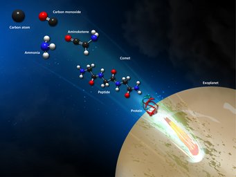 A new kind of chemical reaction can explain how peptides can form on the icy layers of cosmic dust grains. Those peptides could have been transported to the early Earth by meteorites, asteroids or comets. A new kind of chemical reaction can explain how peptides can form on the icy layers of cosmic dust grains. Those peptides could have been transported to the early Earth by meteorites, asteroids or comets.