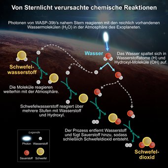 Vom Sternlicht ausgelöste Reaktionskette, die Schwelwasserstoff in Schwefeldioxid umwandelt. Eine Infografik trägt die Überschrift Chemische Reaktionen, die durch Sternenlicht verursacht werden. Sie zeigt eine Illustration der Oberfläche eines rötlichen Exoplaneten unter seinem Stern. Das Licht des Sterns scheint in die chemische Reaktion, die in der Grafik dargestellt ist. Hier kann man sehen, wie Moleküle miteinander wechselwirken und neue Verbindungen bilden.
Die Photonen des nahen Sterns von WASP-39 b wechselwirken mit den reichlich vorhandenen Wassermolekülen (H2O) in der Atmosphäre des Exoplaneten.
Das Wasser spaltet sich in Wasserstoffatome (H) und Hydroxyl (OH).
Die Moleküle setzen ihre Wechselwirkung in der Atmosphäre fort.
Schwefelwasserstoff reagiert in einer Reihe von Schritten mit Wasserstoff und Hydroxyl.
Bei diesem Prozess wird Wasserstoff entzogen und Sauerstoff hinzugefügt, wodurch schließlich Schwefeldioxid entsteht.