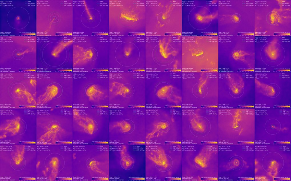Cluster galaxies and evolution of galaxies in different environments