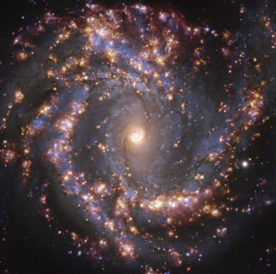 PHANGS-MUSE-Map of the nearby spiral galaxy NGC4303 showing the distribution of young star-forming regions (HII regions; reddish colors) relative to the young and old stellar populations.