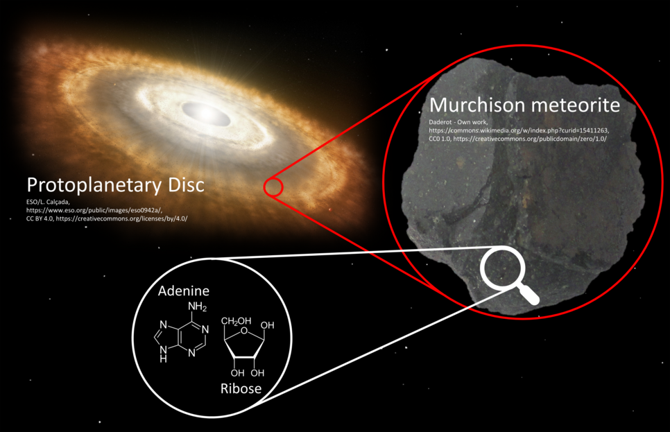 A zoom into the protoplanetary disk of our solar system, revealing a meteorite containing prebiotic molecules that may have played a role in the origins of life on Earth.