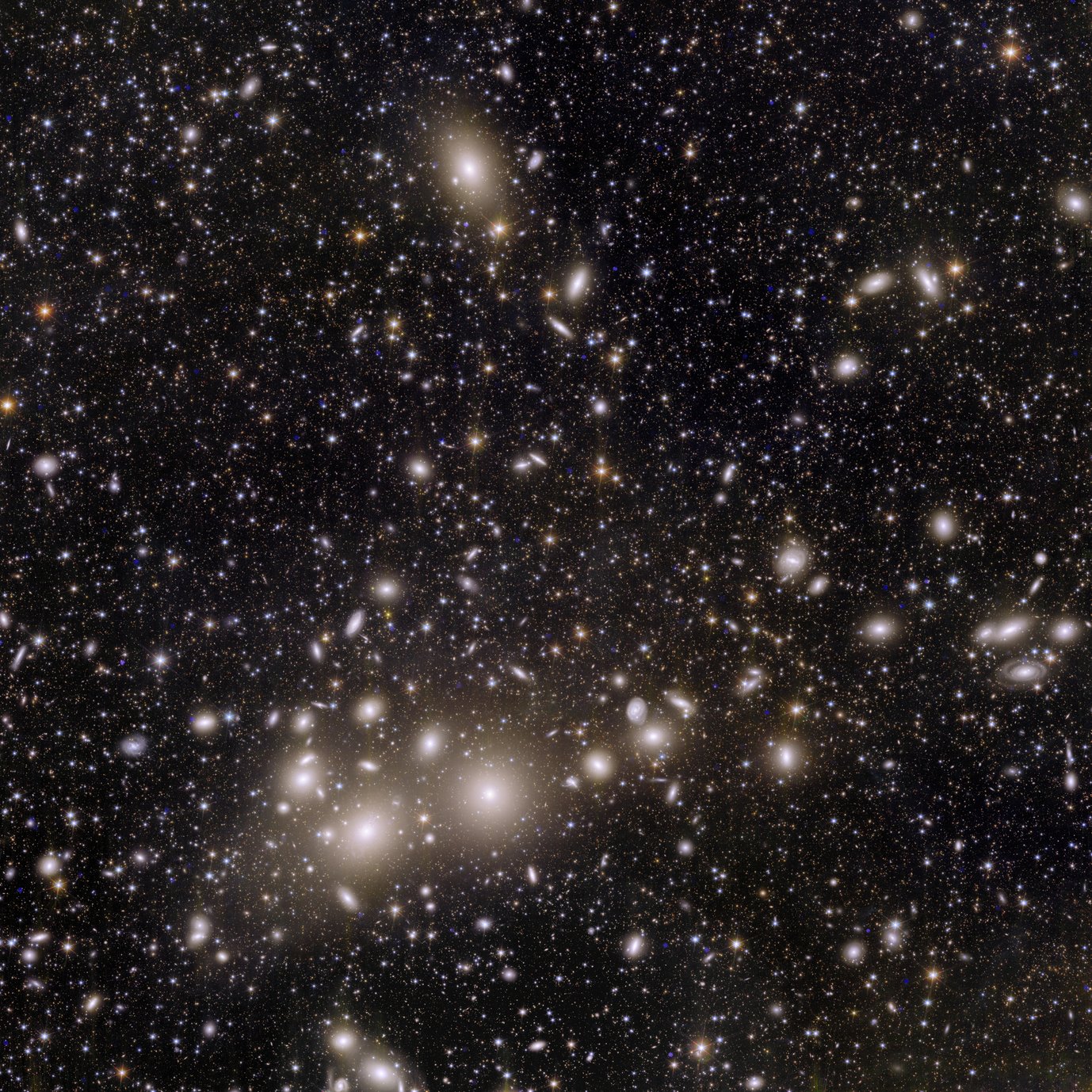The Perseus Galaxy Cluster – This incredible snapshot from Euclid is major progress for astronomy. The image shows 1000 galaxies belonging to the Perseus Cluster, and more than 100 000 additional galaxies further away in the background.Many of these faint galaxies were previously unseen. Some of them are so distant that their light has taken 10 billion years to reach us. By mapping the distribution and shapes of these galaxies, cosmologists will be able to find out more about how dark matter shaped the Universe that we see today.This is the first time that such a large image has allowed us to capture so many Perseus galaxies in such a high level of detail. Perseus is one of the most massive structures known in the Universe, located ‘just’ 240 million light-years away from Earth.