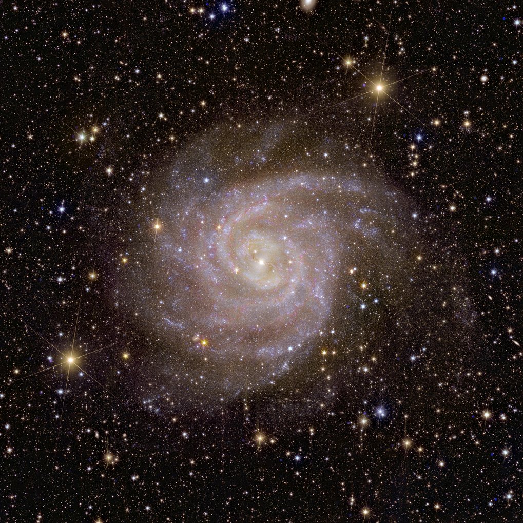 Spiralgalaxie IC 342 – Im Laufe seines Betriebs wird Euclid Milliarden von Galaxien abbilden und den unsichtbaren Einfluss der Dunklen Materie und der Dunklen Energie auf sie sichtbar machen. Daher ist es nur passend, dass eine der ersten Galaxien, die Euclid beobachtet hat, den Spitznamen „Verborgene Galaxie“ trägt und auch als IC 342 oder Caldwell 5 bekannt ist. Dank seines Infrarotblicks hat Euclid bereits wichtige Informationen über die Sterne in dieser Galaxie, die unserer Milchstraße sehr ähnlich ist, gewonnen. Spiralgalaxie IC 342 – Im Laufe seines Betriebs wird Euclid Milliarden von Galaxien abbilden und den unsichtbaren Einfluss der Dunklen Materie und der Dunklen Energie auf sie sichtbar machen. Daher ist es nur passend, dass eine der ersten Galaxien, die Euclid beobachtet hat, den Spitznamen „Verborgene Galaxie“ trägt und auch als IC 342 oder Caldwell 5 bekannt ist. Dank seines Infrarotblicks hat Euclid bereits wichtige Informationen über die Sterne in dieser Galaxie, die unserer Milchstraße sehr ähnlich ist, gewonnen.