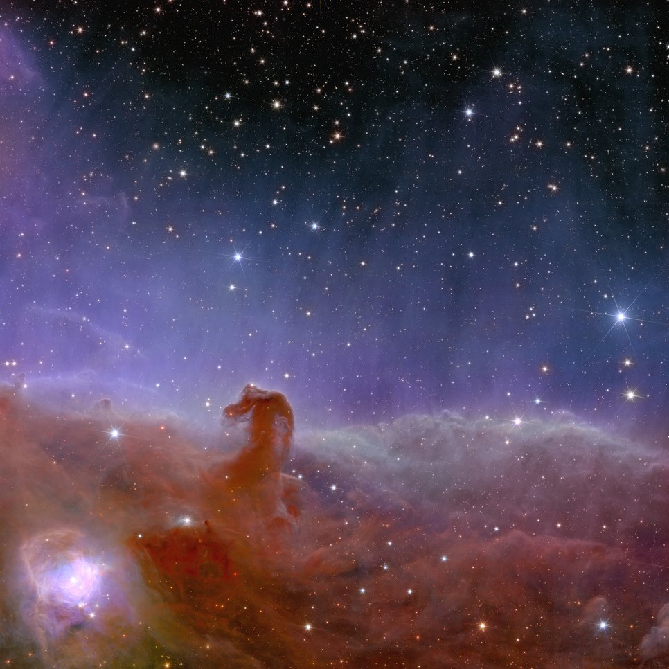 The Horsehead Nebula – Euclid shows us a spectacularly panoramic and detailed view of the Horsehead Nebula, also known as Barnard 33 and part of the constellation Orion. In Euclid’s new observation of this stellar nursery, scientists hope to find many dim and previously unseen Jupiter-mass planets in their celestial infancy, as well as young brown dwarfs and baby stars.