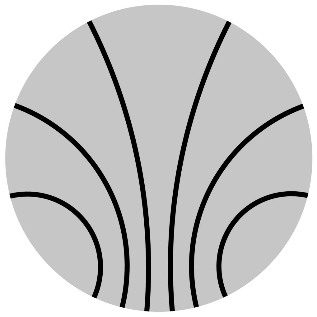 Kirchhoff Institute for Physics Logo