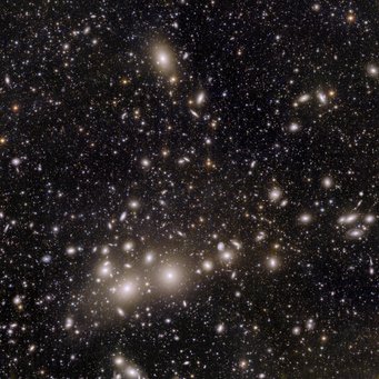 Auf den Spuren der Dunklen Materie: Dieses Bild von Euclid ist das erste, das in einem so großen Bildausschnitt so viele Galaxien des Perseus-Galaxienhaufens auf einmal in einem so hohen Detailgrad erfasst. Das Bild zeigt 1000 Galaxien, die zum Perseus-Haufen gehören, einem der massereichsten Strukturen des Universums. Mehr als 50.000 weitere Galaxien in weit größerer Entfernung sind im Hintergrund zu erkennen. Quadratisches Bild mit schwarzem Hintergrund und Ansammlung verteilter punktförmiger weißer Lichtquellen neben vielen kleinen und größeren verschwommenen Flecken