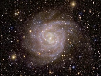 Eine Galaxie, die an unsere Milchstraße erinnert: Die Galaxie IC 342 liegt elf Millionen Lichtjahre entfernt und erscheint am Himmel etwa so groß wie der Vollmond. Im Laufe seines Betriebs wird Euclid Milliarden anderer Galaxien abbilden, die noch weiter entfernt sind als IC 342 und die den unsichtbaren Einfluss der Dunklen Materie und der Dunklen Energie erkennbar machen. Bläulicher Strudel mit erkennbaren Spiralarmen und einem hellen, gelblichen Zentrum vor einem Sternenhimmel.