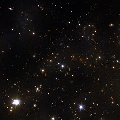 Whitish dots with six star-shaped points against a black background, in between numerous faintly recognisable, small oval reddish spots