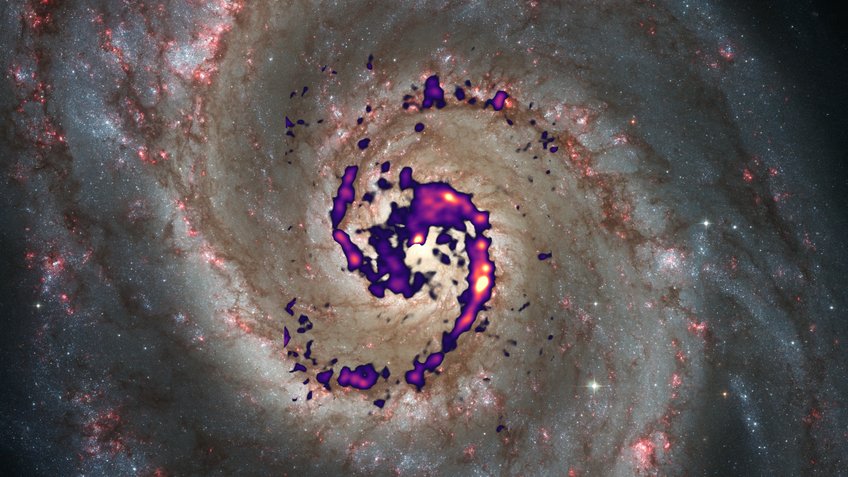Diese Illustration zeigt die Verteilung der Strahlung des Diazenylium–Moleküls (Falschfarben) in der Whirlpool-Galaxie im Vergleich mit einem optischen Bild. Die rötlichen Bereiche im Foto sind leuchtende Gasnebel mit heißen, massereichen Sternen. Sie durchziehen dunkle Zonen aus Gas und Staub in den Spiralrmen. Das Diazenylium in diesen dunklen Regionen deutet auf besonders kalte und dichte Gaswolken hin. Diese Illustration zeigt die Verteilung der Strahlung des Diazenylium–Moleküls (Falschfarben) in der Whirlpool-Galaxie im Vergleich mit einem optischen Bild. Die rötlichen Bereiche im Foto sind leuchtende Gasnebel mit heißen, massereichen Sternen. Sie durchziehen dunkle Zonen aus Gas und Staub in den Spiralrmen. Das Diazenylium in diesen dunklen Regionen deutet auf besonders kalte und dichte Gaswolken hin.