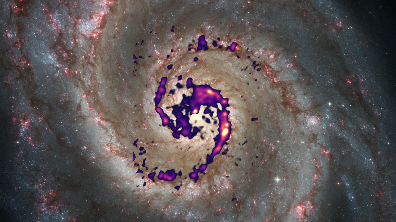 Diese Illustration zeigt die Verteilung der Strahlung des Diazenylium–Moleküls (Falschfarben) in der Whirlpool-Galaxie im Vergleich mit einem optischen Bild. Die rötlichen Bereiche im Foto sind leuchtende Gasnebel mit heißen, massereichen Sternen. Sie durchziehen dunkle Zonen aus Gas und Staub in den Spiralrmen. Das Diazenylium in diesen dunklen Regionen deutet auf besonders kalte und dichte Gaswolken hin.