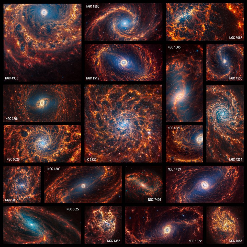 Nineteen Webb images of face-on spiral galaxies are combined in a mosaic. Some appear within squares, and others horizontal or vertical rectangles. Many galaxies have blue hazes toward the centres, and all have orange spiral arms. Many have clear bar shaped-structures at their centres, but a few have spirals that begin at their cores. Some of the galaxies’ arms form clear spiral shapes, while others are more irregular. Some of the galaxies’ arms appear to rotate clockwise and others counter clockwise. Most galaxy cores are centred, but a few appear toward an image’s edge. Most galaxies appear to extend beyond the captured observations. The galaxies shown, listed in alphabetical order, are IC 5332, NGC 628, NGC 1087, NGC1300, NGC 1365, NGC 1385, NGC 1433, NGC 1512, NGC 1566, NGC 1672, NGC 2835, NGC 3351, NGC 3627, NGC 4254, NGC 4303, NGC 4321, NGC 4535, NGC 5068, and NGC 7496.