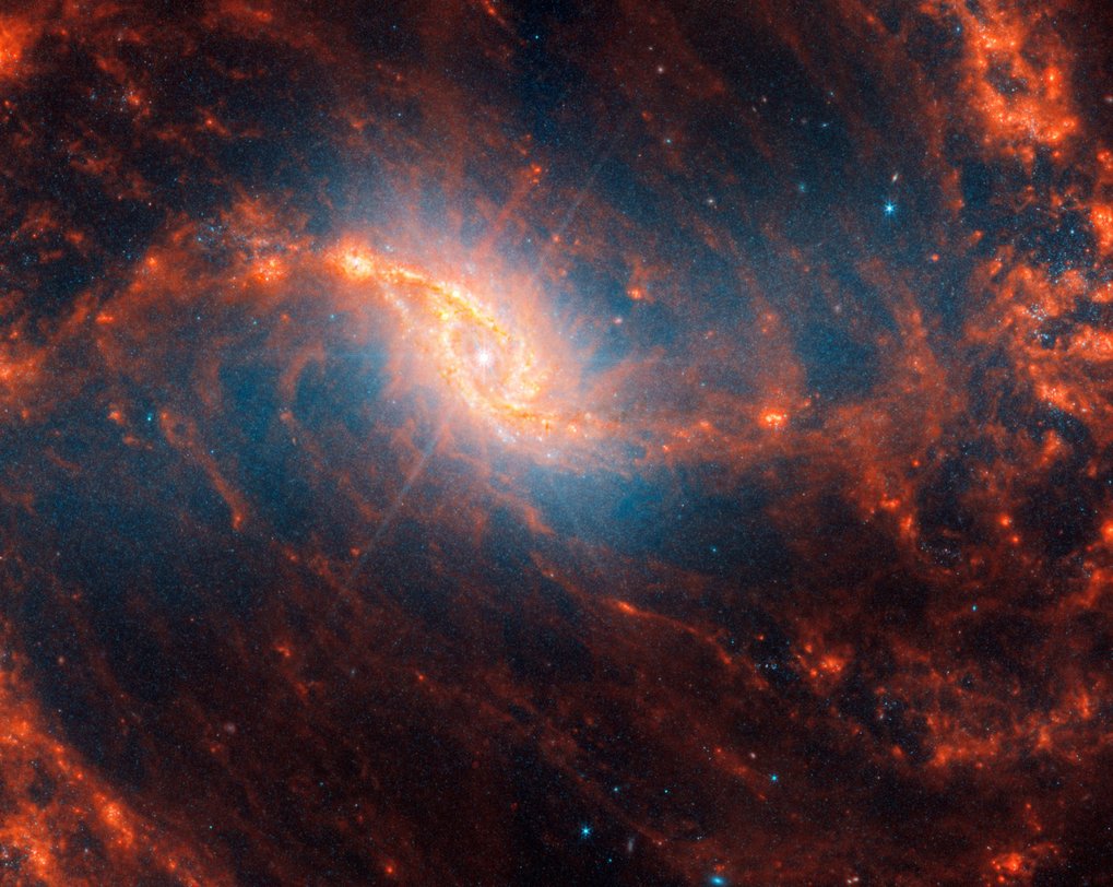 JWSTs Blick auf die Spiralgalaxie NGC 1365