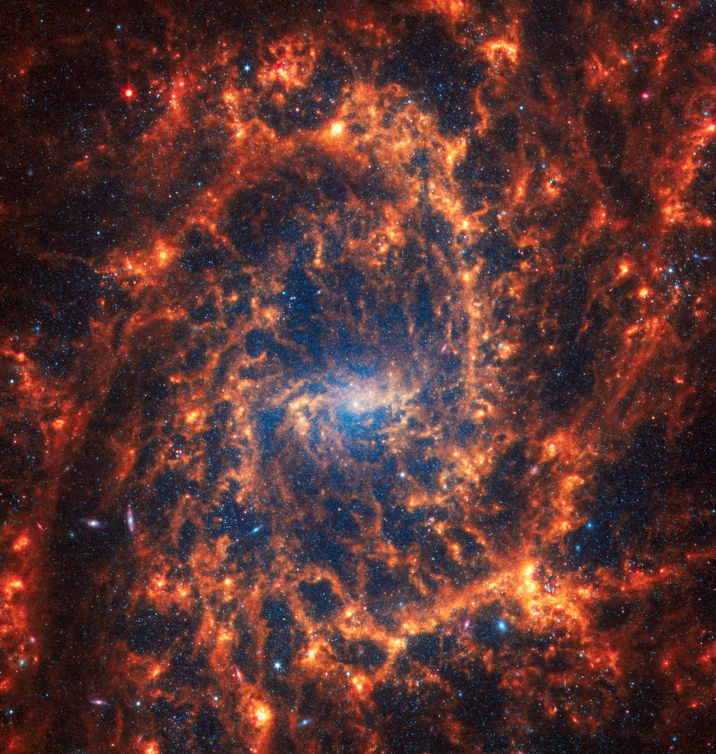 JWSTs Blick auf die Spiralgalaxie NGC 2835