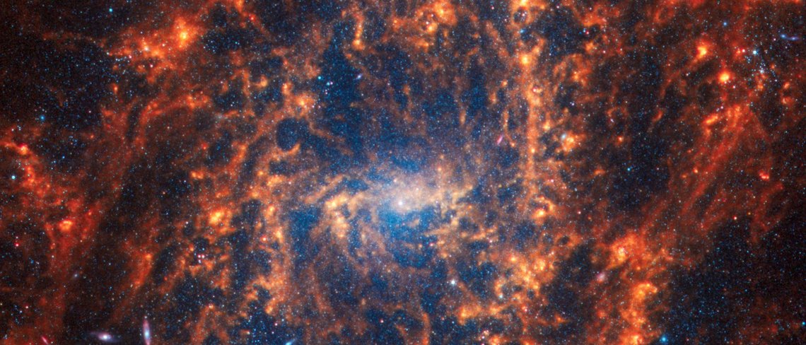 JWSTs Blick auf die Spiralgalaxie NGC 2835