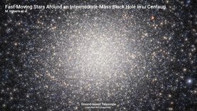 Ein Schwarzes Loch mittlerer Masse in Omega Centauri