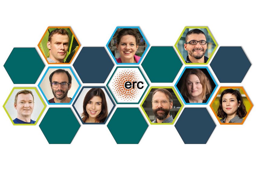 Die Consolidator Grantees der MPG 2024 (v.l.n.r.): Marcel Böhme, MPI für Sicherheit und Privatsphäre, Mario Flock, MPI für Astronomie, Manuel Gomez Rodriguez, MPI für Softwaresysteme, Mariana Rossi, MPI für Struktur und Dynamik der Materie, Birgit Stiller, MPI für die Physik des Lichts, Henning Fenselau, MPI für Stoffwechselforschung, Duarte Figueiredo, MPI für molekulare Pflanzenphysiologie, Valerie Hilgers, MPI für Immunbiologie und Epigenetik, Andrea Martin, MPI für Psycholinguistik. Die Consolidator Grantees der MPG 2024 (v.l.n.r.): Marcel Böhme, MPI für Sicherheit und Privatsphäre, Mario Flock, MPI für Astronomie, Manuel Gomez Rodriguez, MPI für Softwaresysteme, Mariana Rossi, MPI für Struktur und Dynamik der Materie, Birgit Stiller, MPI für die Physik des Lichts, Henning Fenselau, MPI für Stoffwechselforschung, Duarte Figueiredo, MPI für molekulare Pflanzenphysiologie, Valerie Hilgers, MPI für Immunbiologie und Epigenetik, Andrea Martin, MPI für Psycholinguistik.