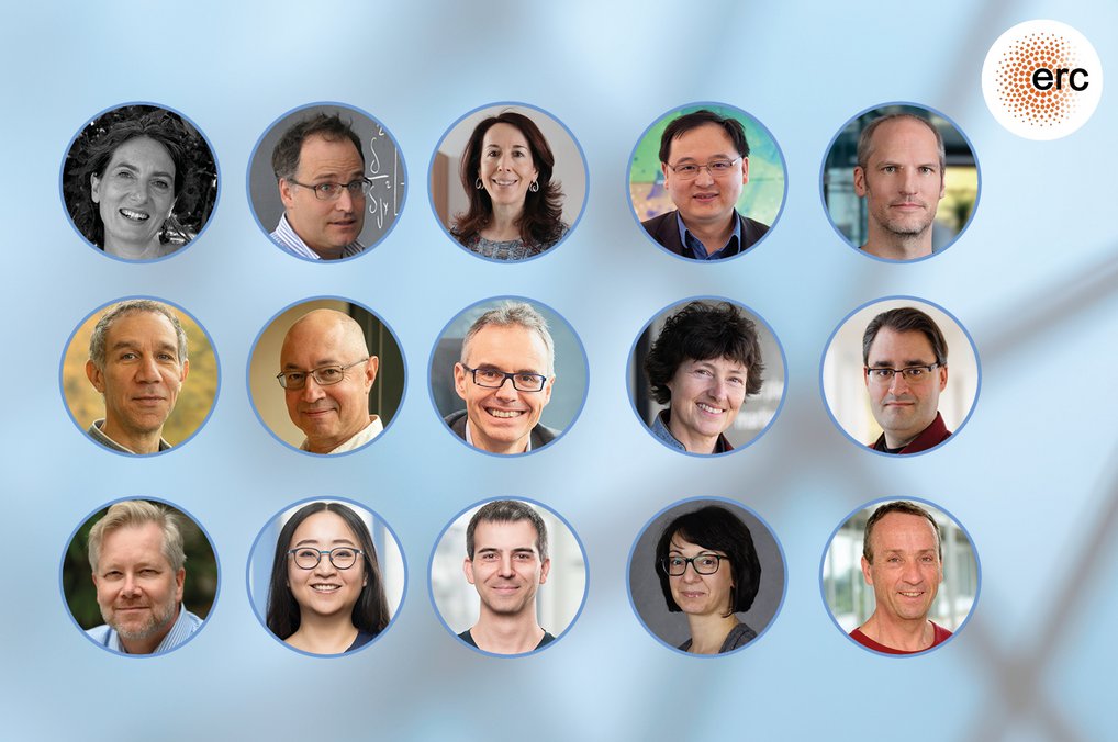 The Max Planck Synergy Grantees 2024 (from top left to bottom right): Benedetta Ciardi, Max Planck Institute for Astrophysics; Torsten Enßlin, Max Planck Institute for Astrophysics; Alessandra Buonanno, Max Planck Institute for Gravitational Physics; Xinliang Feng, Max Planck Institute for Microstructure Physics; Axel Kleinschmidt, Max Planck Institute for Gravitational Physics; Joël Ouaknine, Max Planck Institute for Software Systems; Florian Luca, Max Planck Institute for Software Systems; Angel Rubio, Max Planck Institute for the Structure and Dynamics of Matter; Petra Schwille, Max Planck Institute of Biochemistry; Alexander Herbig, Max Planck Institute for Evolutionary Anthropology; Herwig Baier, Max Planck Institute for Biological Intelligence; Jennifer Li and Drew Robson, Max Planck Institute for Biological Cybernetics; Aneta Koseska, Max Planck Institute for Neurobiology of Behavior – CAESAR; Alec Wodtke, Max Planck Institute for Multidisciplinary Sciences.