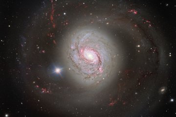 Eine farbenreiche Aufnahme der Spiralgalaxie Messier 77 (M77), auch bekannt als NGC 1068. Die Galaxie zeigt eine beeindruckende Struktur mit hell leuchtendem Zentrum und spiralförmig angeordneten Armen, die sich weit ins All erstrecken. Die Spiralarme sind durch rosafarbene und rote Regionen hervorgehoben, welche Gebiete aktiver Sternentstehung darstellen. Umgeben wird die Galaxie von unzähligen kleinen Lichtpunkten, die ferne Sterne und Galaxien darstellen. Im Vordergrund leuchtet ein heller, sternähnlicher Punkt auf der linken Seite der Galaxie. Die Farben der Galaxie reichen von weiß und blau im Zentrum bis hin zu rötlichen Tönen in den äußeren Bereichen.