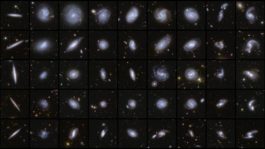 This image shows examples of galaxies in different shapes, all captured by Euclid during its first observations of the Deep Field areas. As part of the data release, a detailed catalogue of more than 380,000 galaxies was published, which have been classified according to features such as spiral arms, central bars, and tidal tails that infer merging galaxies. A collage of nine by five squares containing galaxies of many different shapes and viewed in different orientations. For example, the first column shows five edge-on galaxies, which appear thin like a pencil. The galaxies in the second column have a more fuzzy, diffuse appearance. The middle columns showcase face-on spiral galaxies with many different shapes and densities of stars. The last two columns include interacting galaxies or galaxies with an unusual spiral arm or tidal tail.