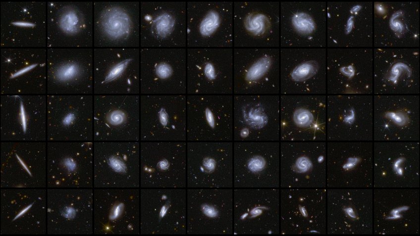 This image shows examples of galaxies in different shapes, all captured by Euclid during its first observations of the Deep Field areas. As part of the data release, a detailed catalogue of more than 380,000 galaxies was published, which have been classified according to features such as spiral arms, central bars, and tidal tails that infer merging galaxies.  A collage of nine by five squares containing galaxies of many different shapes and viewed in different orientations. For example, the first column shows five edge-on galaxies, which appear thin like a pencil. The galaxies in the second column have a more fuzzy, diffuse appearance. The middle columns showcase face-on spiral galaxies with many different shapes and densities of stars. The last two columns include interacting galaxies or galaxies with an unusual spiral arm or tidal tail.