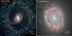 NGC 3351
