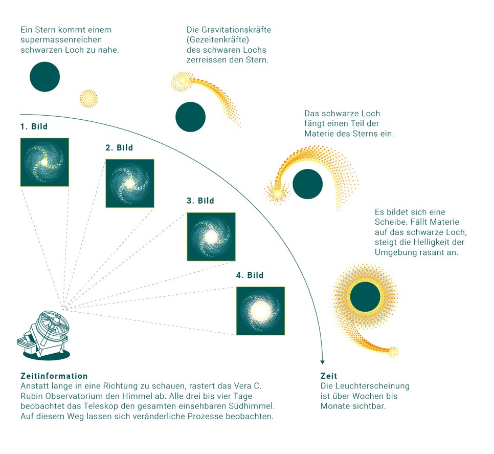 Bildsequenz illustriert den Prozess der Zerstörung eines Sterns durch ein schwarzes Loch und das Entstehen einer Scheibe.