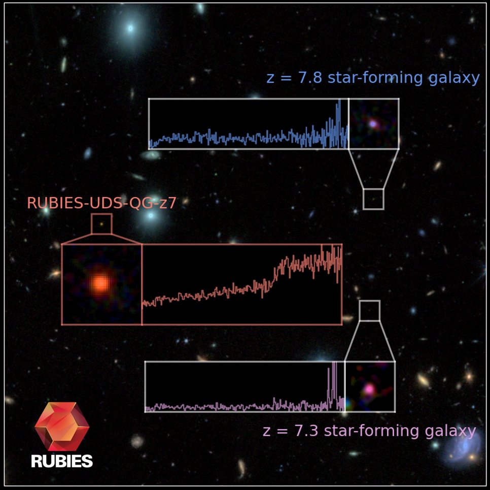 High_z_JWST_Galaxies