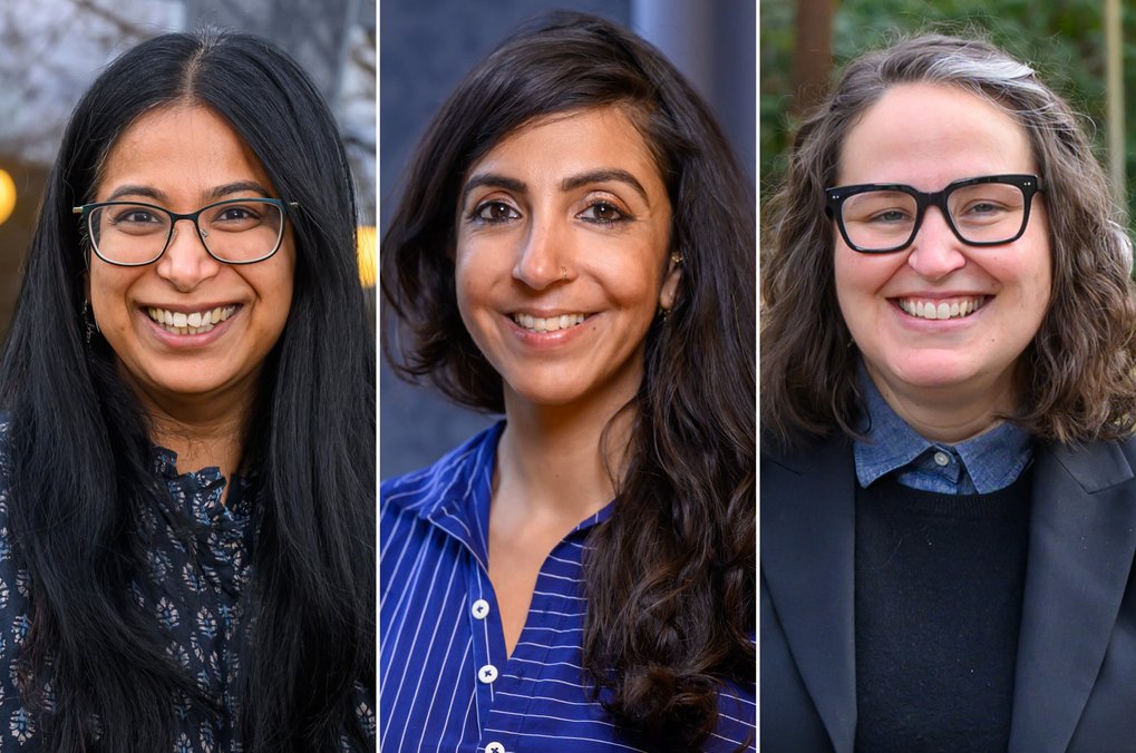 Eine Collage der drei ausgezeichneten Wissenschaftlerinnen: Surabhi Ranganathan, Prerna Singh und Jamie Kreiner (von links nach rechts)