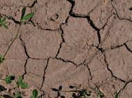 Trockenheitsrisse im Boden.