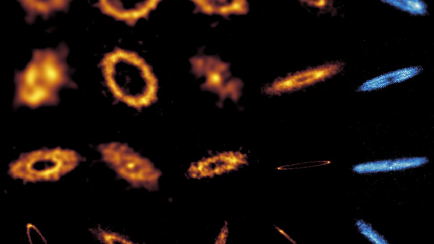 This ARKS gallery of faint debris discs reveals details about their shape: belts with multiple rings, wide smooth halos, sharp edges, and unexpected arcs and clumps, which hint at the presence of planets shaping these discs; chemical make-up: the amber colours highlight the location and abundance of the dust in the 24 discs surveyed, while the blue their carbon monoxide gas location and abundance in the six gas-rich discs. Scientific visualisation of a collection of debris discs around stars, shown in many individual views and different orientations. The image shows ring-shaped and disc-like dust structures, some seen face-on as bright rings, others tilted or edge-on as elongated, spindle-shaped features. The discs display irregular brightness patterns, gaps, and asymmetric concentrations, indicating dust and rocky debris in orbit. Colours range from yellow and orange to blue, representing different visualisation methods or physical properties. All objects are arranged in a regular grid on a black background.