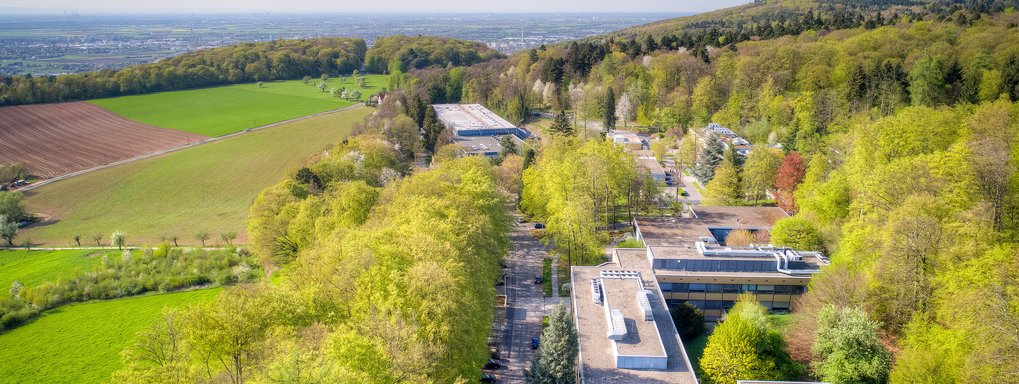 Max Planck Institut für Kernphysik (MPIK)