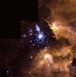 Young Stellar Clusters